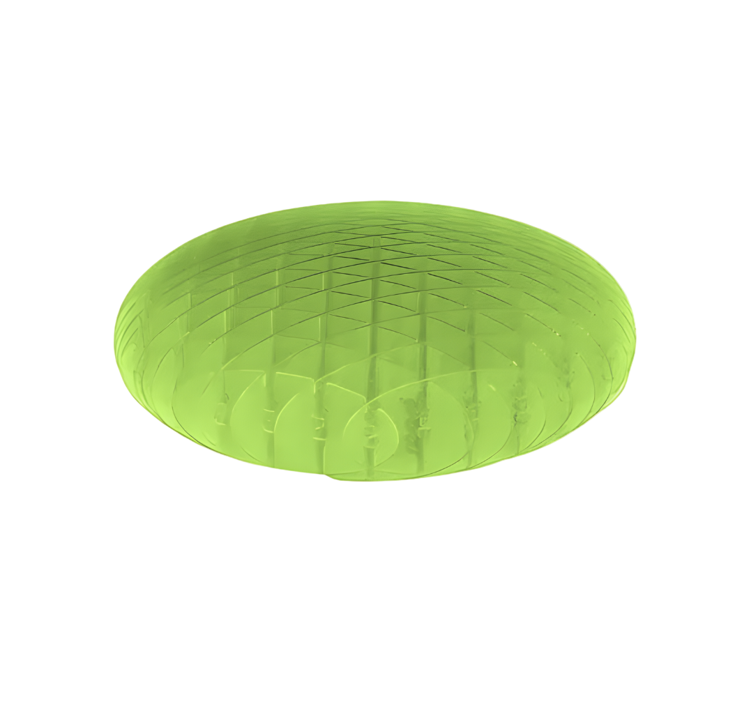 Bright Green Fidget Worm Toy
